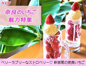 新感覚の奈良いちご