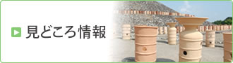 見どころ情報