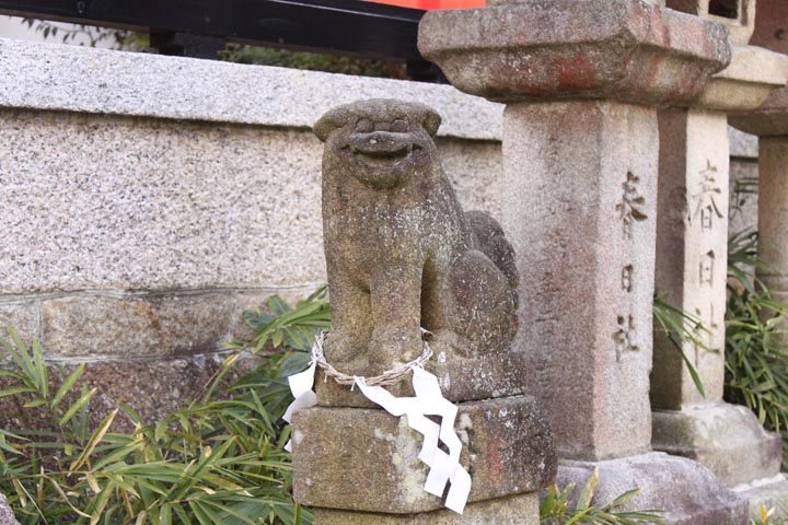 komainu11_narazuhiko