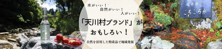 天川村ブランド