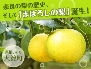 まぼろしの梨