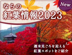 ならの紅葉情報2023