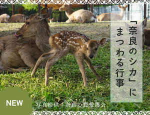 「奈良のシカ」にまつわる行事