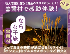 巨大岩壁に驚き！黄金のススキにうっとり！曽爾村で感動体験！