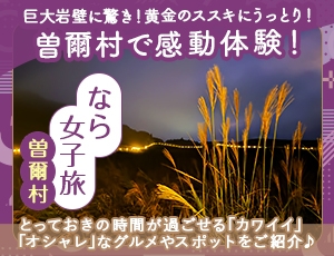 巨大岩壁に驚き！黄金のススキにうっとり！曽爾村で感動体験！