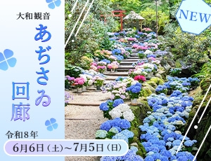 【2026年】奈良の紫陽花・名所7選！「あぢさゐ回廊」の見どころをご紹介