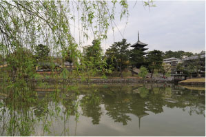 写真:猿沢池