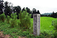 200809-011s