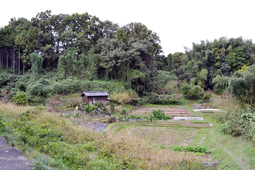 片岡城跡 （かたおかじょうせき）