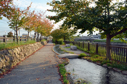 水辺公園 （みずべこうえん）