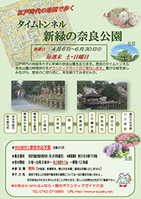 タイムトンネル新緑の奈良公園