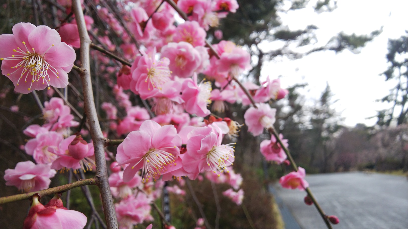 大和文華館