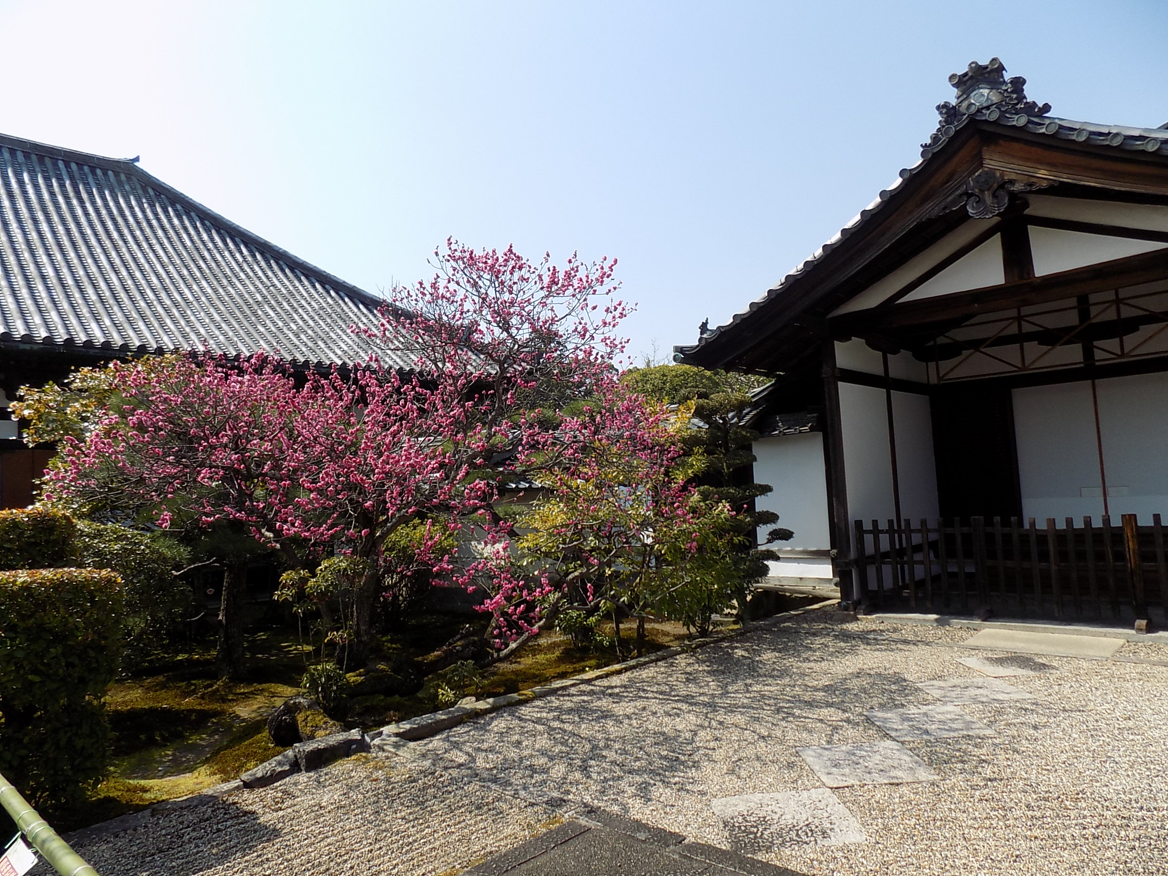 法華寺