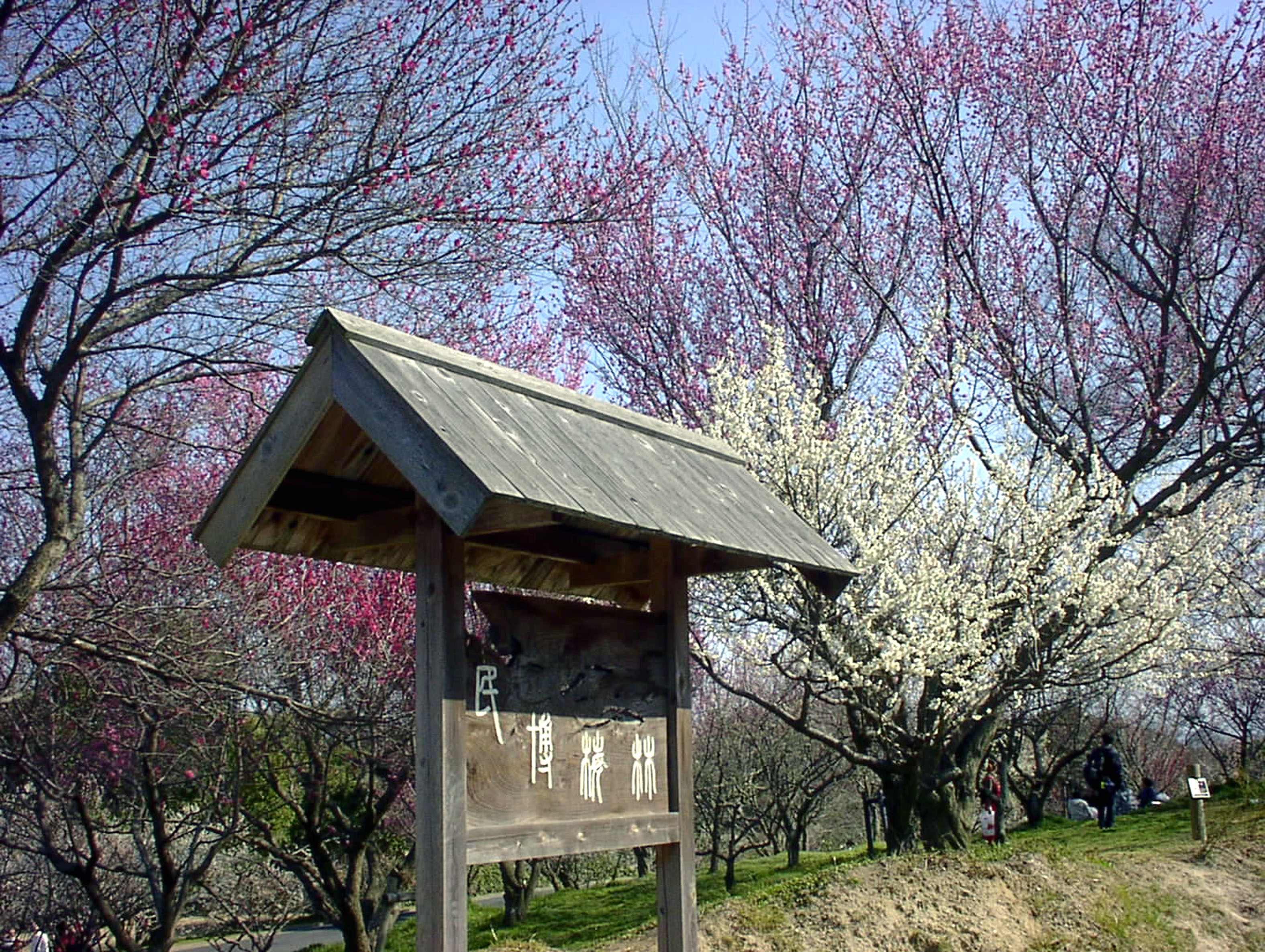 大和民俗公園