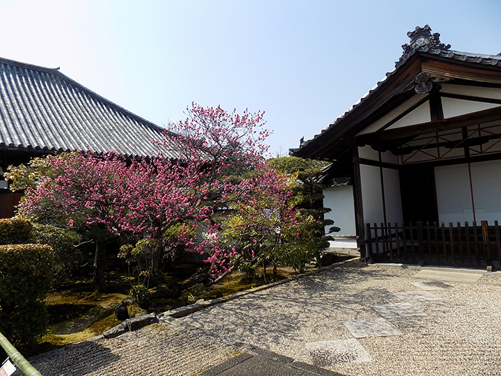 法華寺