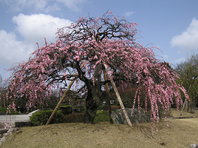 屋敷山公園