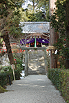 神さびた高鴨神社