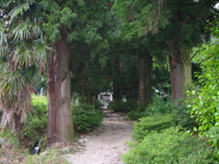 高天彦神社