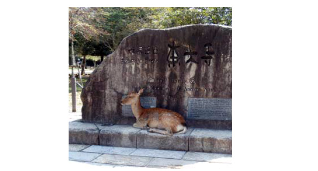 東大寺の碑と鹿の写真