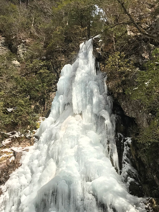 郡山金魚資料館