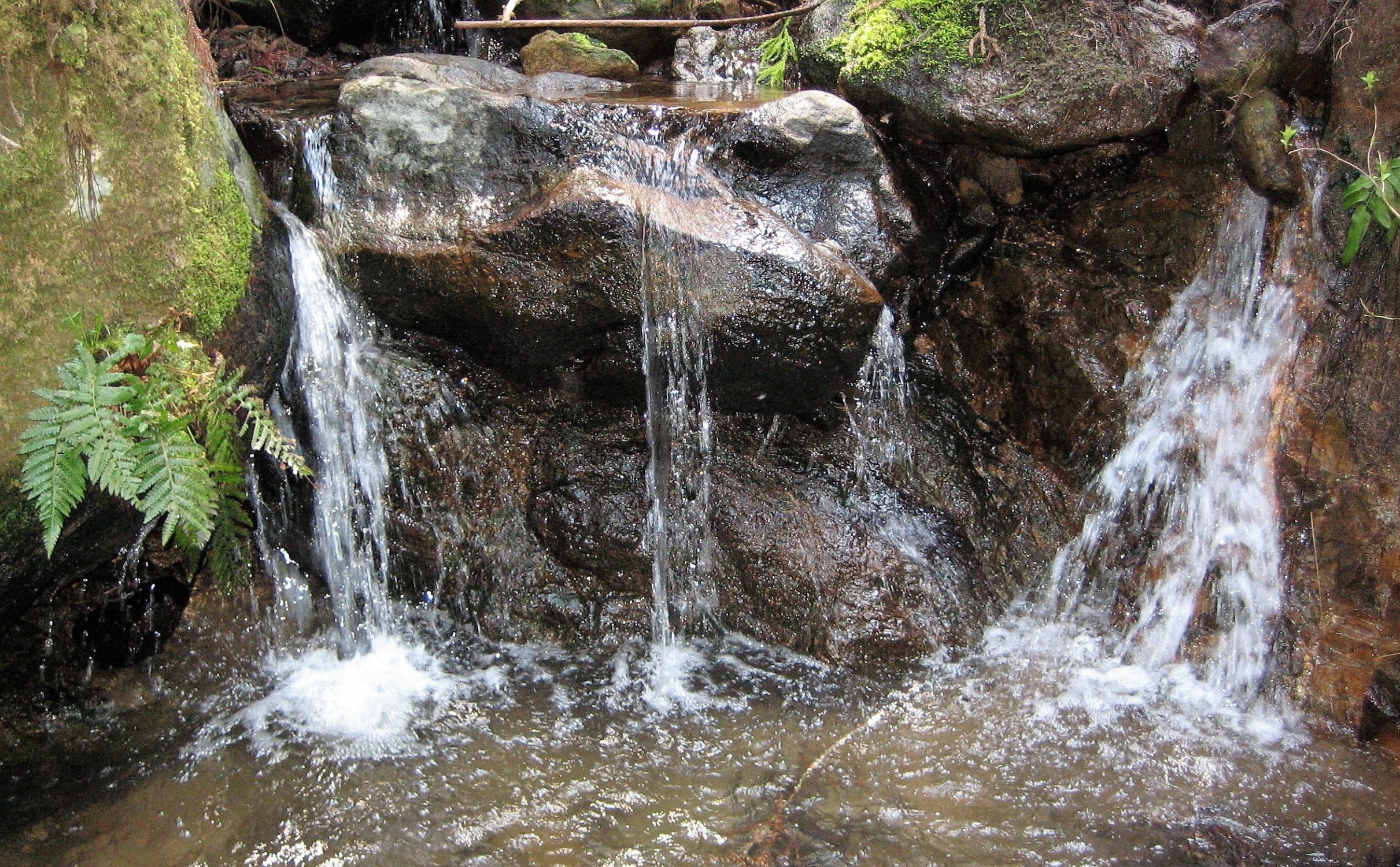 曽爾高原湧水群