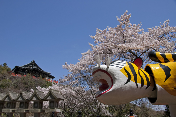 朝護孫子寺の桜の写真