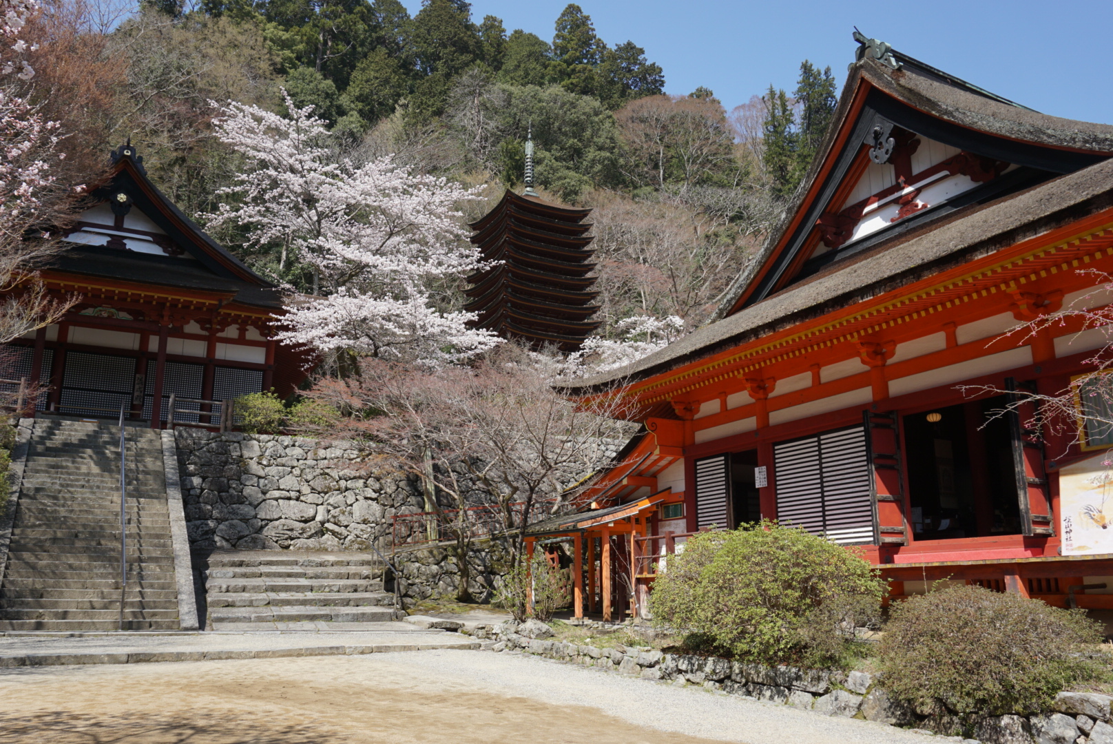 談山神社の桜の写真