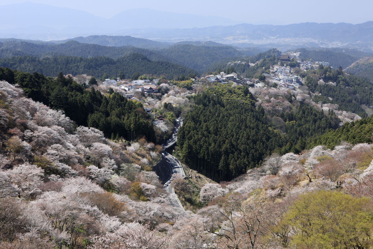 吉野山（奥・上・中・下千本）の桜の写真