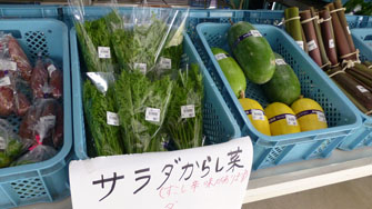 朝市の新鮮な野菜①